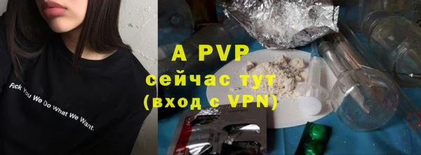 apvp Армянск