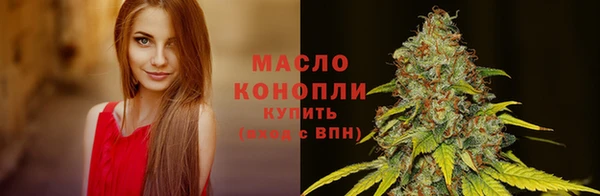 apvp Армянск