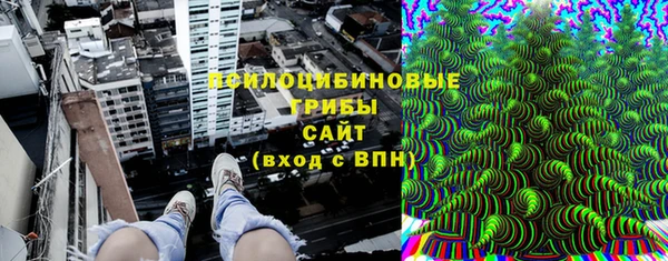 прущие крисы Арсеньев