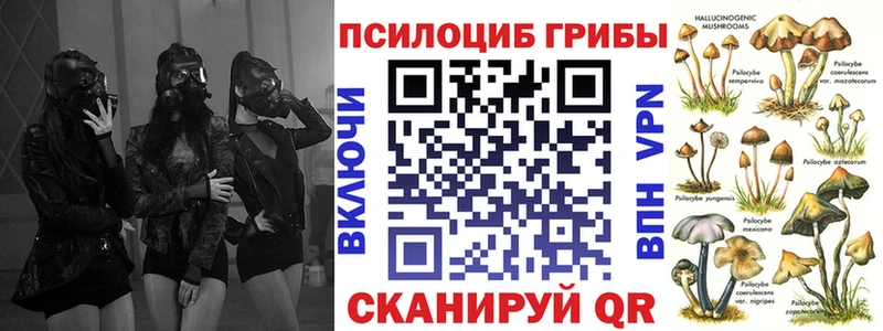 Псилоцибиновые грибы мухоморы  купить   Сольцы 